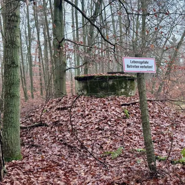 In einem laubfreien Wald steht ein Schild "Lebensgefahr. Betreten verboten."