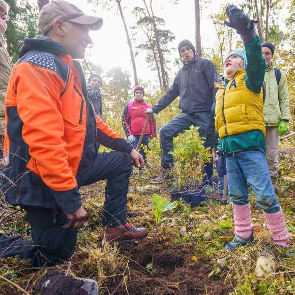 Gruppe im Wald beim Pflanzen