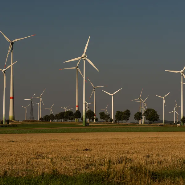 Windkraftanlagen stehen auf einem Feld