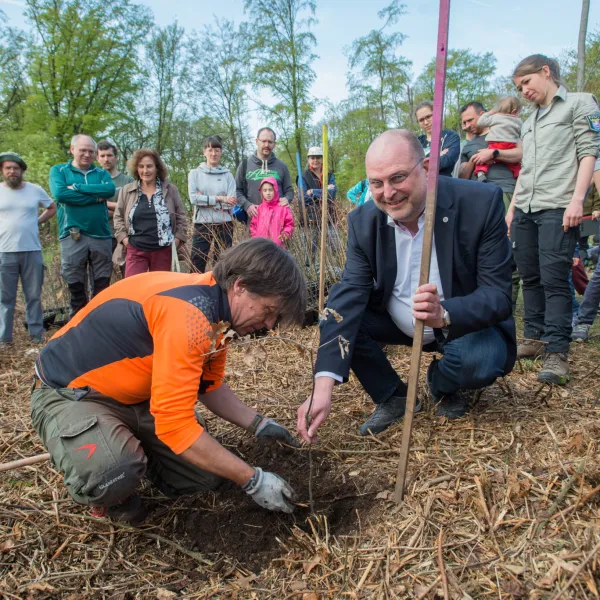 Zwei personen pflanzen einen Baum