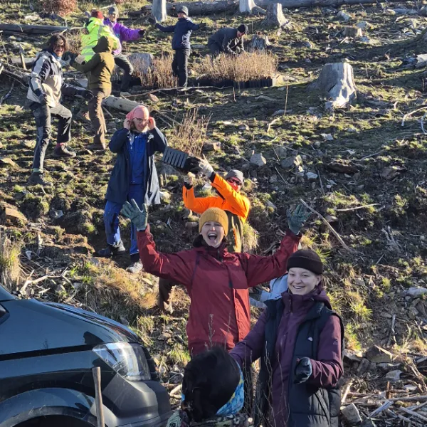 Personen transportieren Baumsetzlinge
