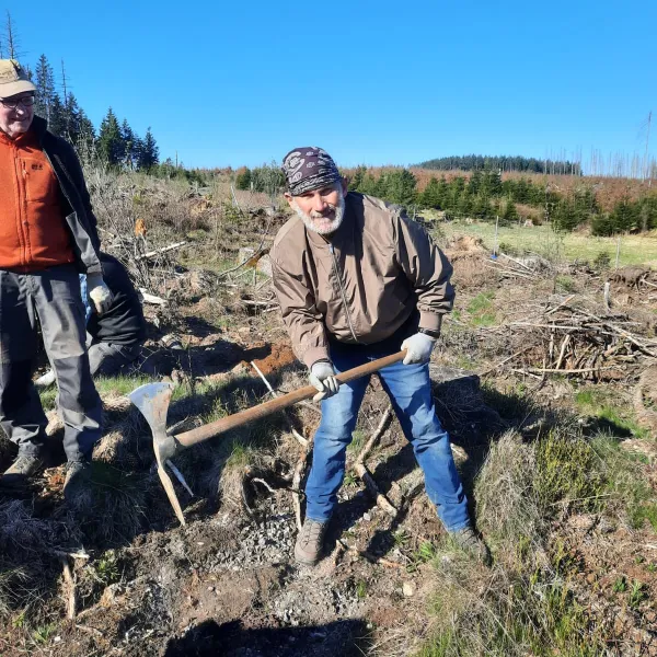 Person pflanzt einen Baum