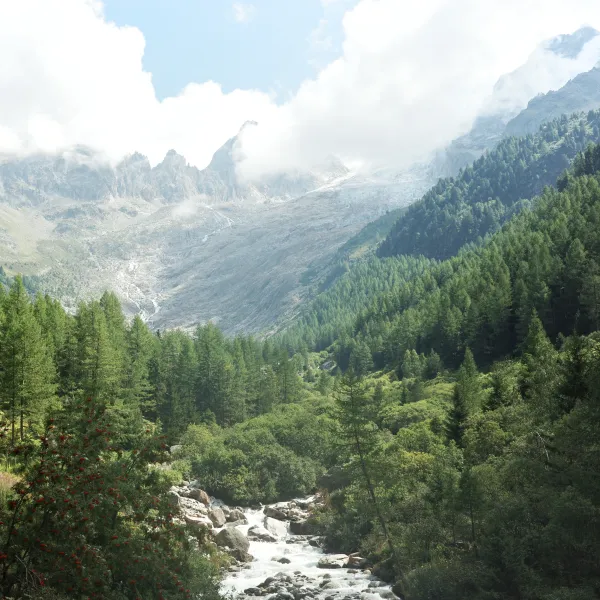 Berglandschaft mit Wald und Fluss
