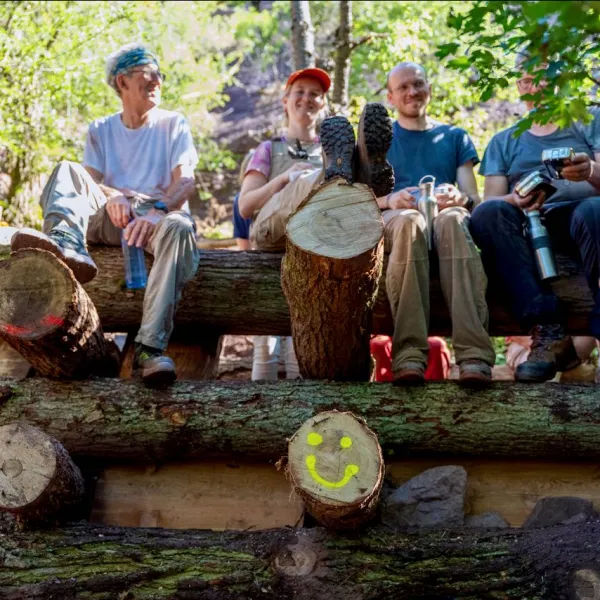 Menschen im Wald sitzen auf aufgestapelten Holzstämmen