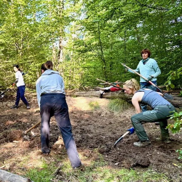 Fünf Menschen stehen mit Werkzug in einer kleinen Waldlichtung und bearbeiten den Rohboden