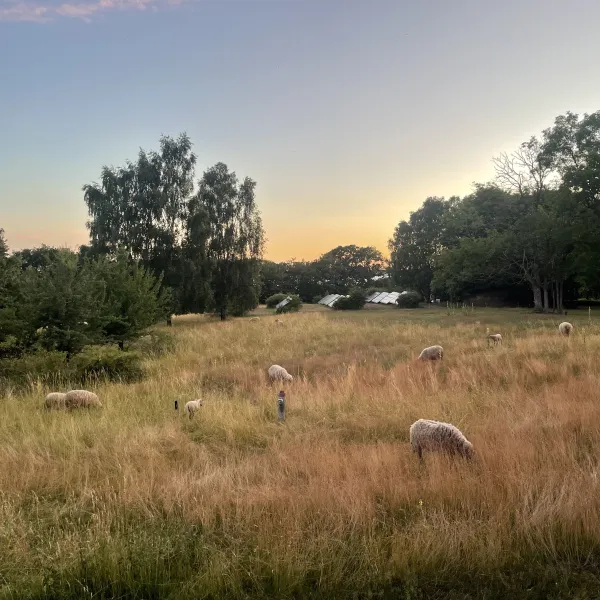 Blick über die Insellandschaft von Vilm