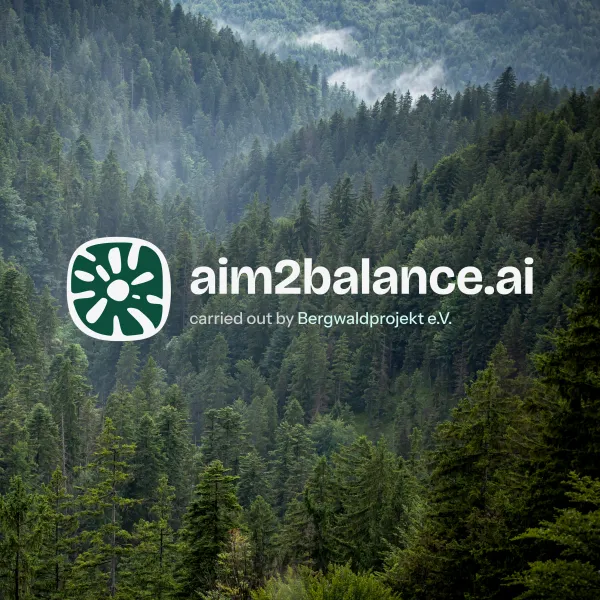 Schriftzug aim2balance auf Waldhintergrund