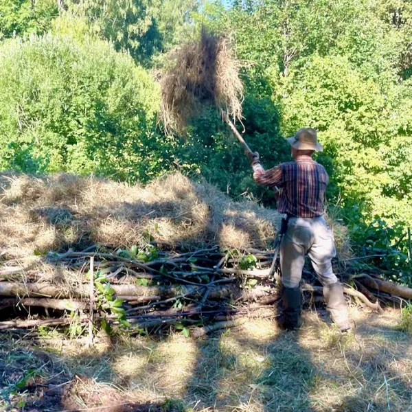 Ein Mann wirt mit einer Heugabel im Halbschatten im Wald Heu auf einen Haufen