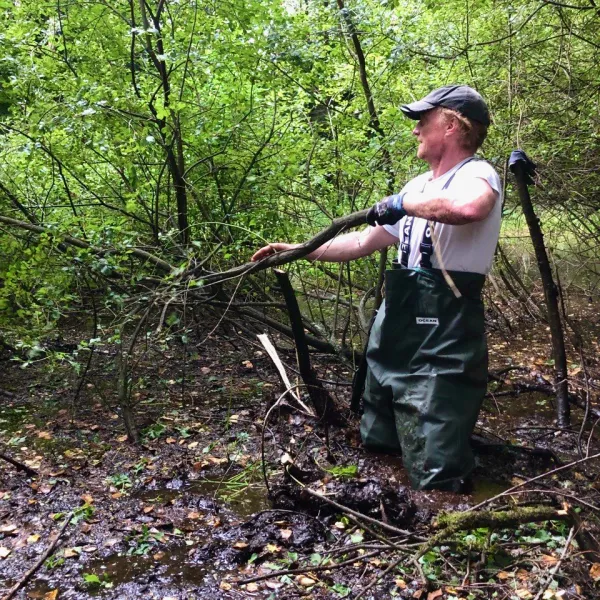 Ein Mann steht mit einer Watthose knietier im Schlamm im Wald und hat einen abgesägten Weidenast in der Hand.