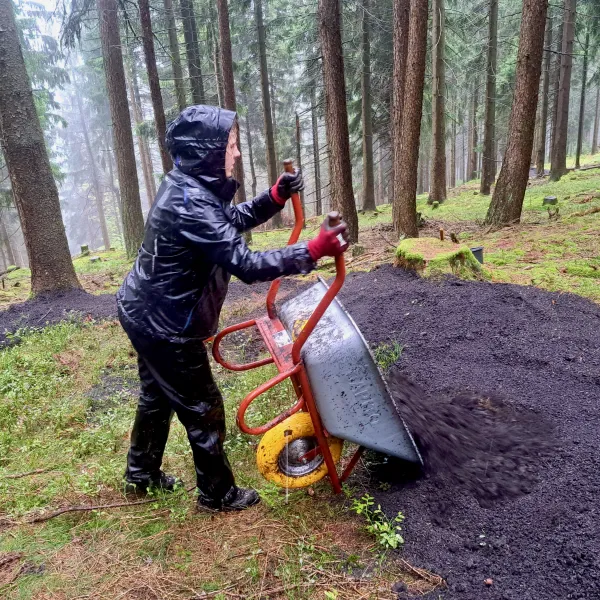 Ein Mensch kippt mit einem Schubkarren dunkle Erde auf einen Waldboden mit Fichtenstämmen im Hintergrund