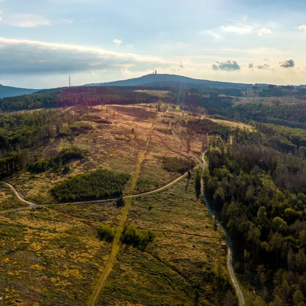 Blick über kahle ehemalige Waldflächen