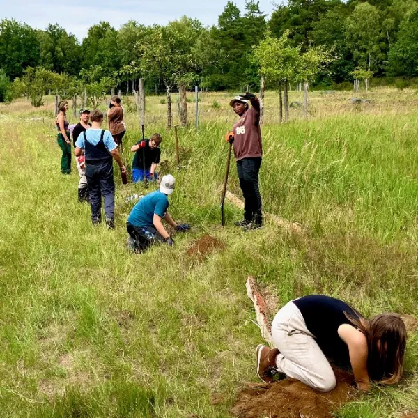 Zaunbauen für einen Streuobstwiese