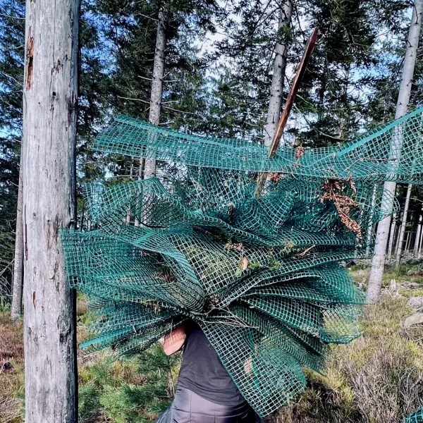 Baumschutz, aufgespiesst und eingesammelt