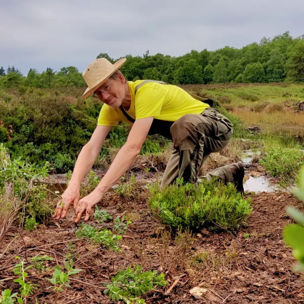 Gärtnerarbeiten zum Abschluss der Grabenverfüllung