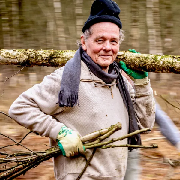 Birken sind Biomasse und werden daher abtransportiert