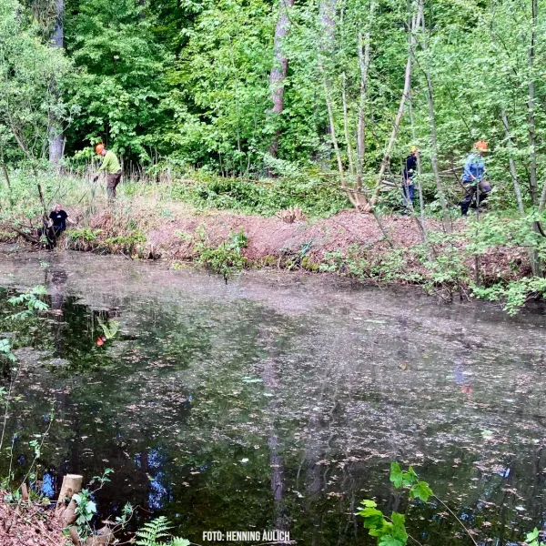 Teichfreistellung kurz vor Abschluss