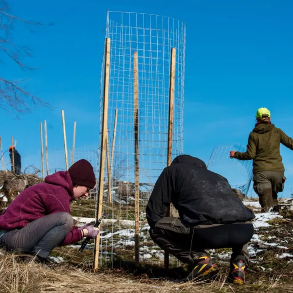Rotwildschutzgitter im Thüringer Wald