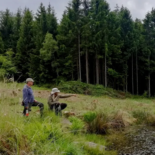 Teichlandschaftsidylle Soonwald