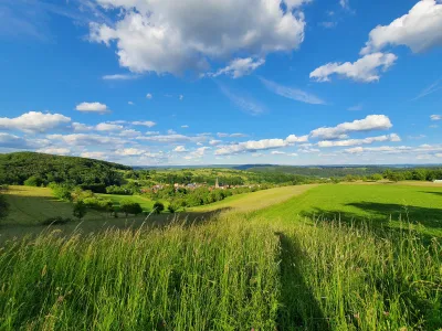 Weiter Blick über die grüne Landschaft in Alzenau
