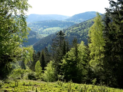 BWP_Galerie_Unterschoenau_11.