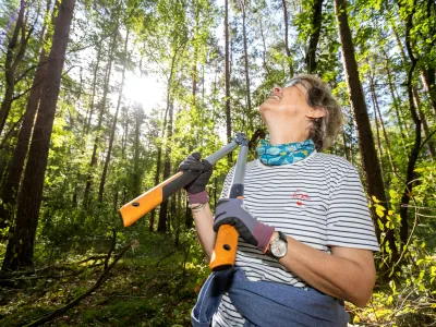 Frau mit einer Astschere die nach oben schaut