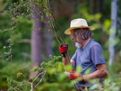 Mann mit Ästen in der Hand