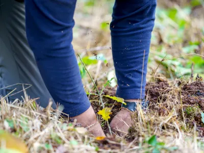 BWP_Galerie_Neihaufescht_Hamburg10 Hände, die einen kleinen Baum pflanzen