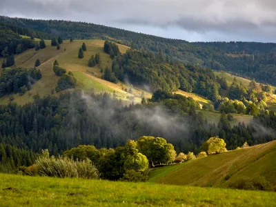 Stimmungsvoller und weiter Blick über eine waldige Landschaft in Freiburg