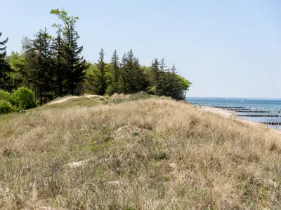 Blick auf einen Wald und das Meer in Rostock