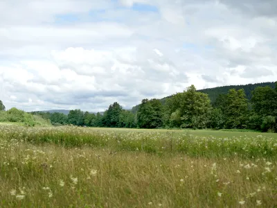 Weiter Blick über die offene Landschaft in Sinngrund