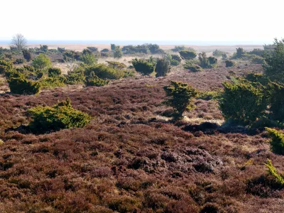 Weiter Blick über eine Heidelandschaft