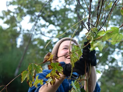 Lächelnde junge Frau, die einen Ast wegträgt