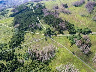 Landschaft von oben in Braunlage