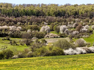 Blick auf eine Landschaft in Meiningen