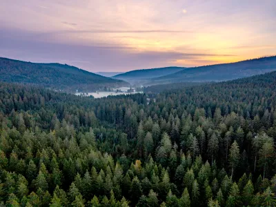 BWP_Nationalpark_Schwarzwald_1.jpg