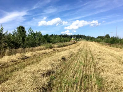 BWP_Bildergalerie_Agroforst_6.jpg