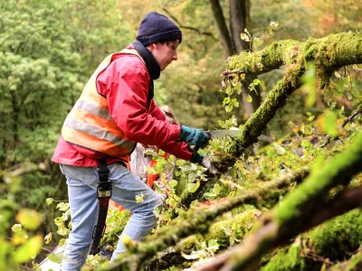 Teilnehmer bei der Waldpflege