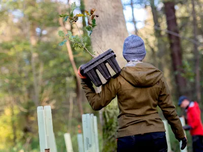 Bergwaldprojekt_Alt-Buchhorst_Pflanzung Frau von hinten mit Jungpflanzen auf dem Arm