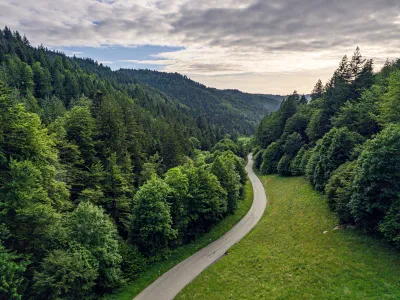 Landschaft im Schwarzwald