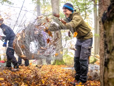 Junger Teilnehmer rollt abgebauten Zaun zusammen