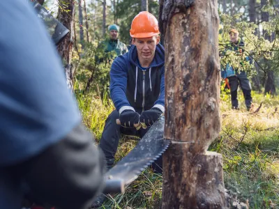 Teilnehmer bei der Arbeit mit der Säge