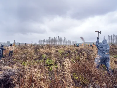Blick über die Pflanzfläche mit Teilnehmenden in Aktion