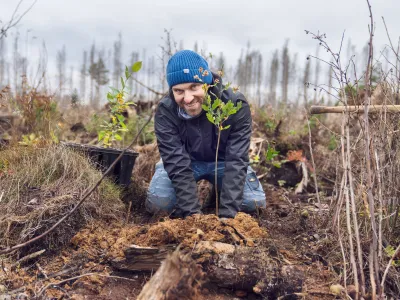 Pflanzung_Jubilaeum_Braunlage_Bergwaldprojekt Lächelnder Mann auf den Knien pflanzt junges Bäumchen