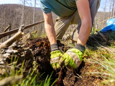 Pflanzung_NPHarz_Bergwaldprojekt Lächelnder Teilnehmer bei der Pflanzung
