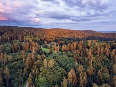Weiter Blick aus der Höhe über einen Wald in Fichtelberg