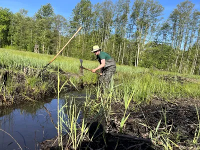 Moor_Rostock_Bergwaldprojekt