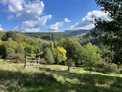 Blick über die wunderschöne Landschaft in Unterschönau
