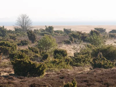 Landschaft auf Hiddensee