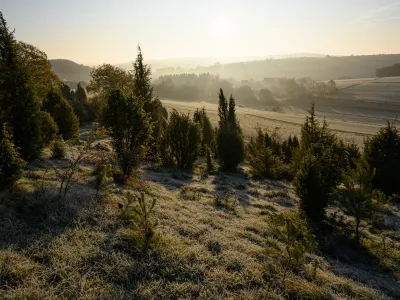 BWP_Euskirchen_Landschaft.jpg