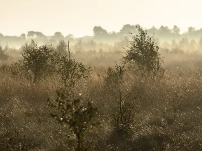 Stimmungsvolle Landschaft in Diepholz